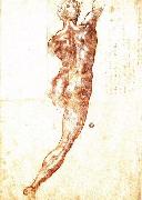 Study for a Nude, Michelangelo Buonarroti